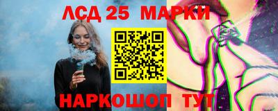 стафф Донецк