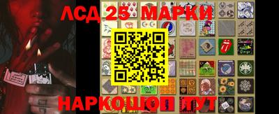 стафф Донецк