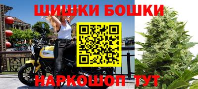 стафф Донецк