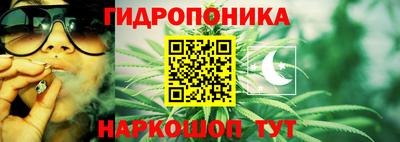 прущие крисы Донской