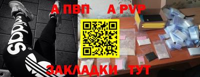прущие крисы Донской