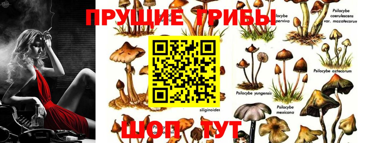 Псилоцибиновые грибы Psilocybe  Галлюциногенные грибы GOLDEN TEACHER  Вход с VPN  Лангепас 